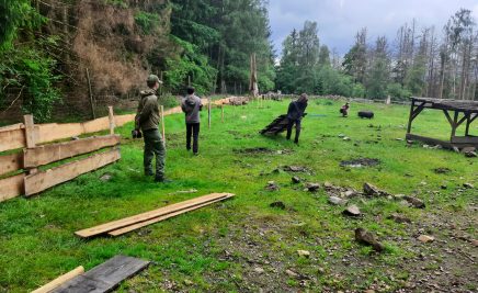 Junior Ranger erneuern den Zaun der Hängebauchschweine im Wildfreigehege