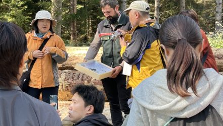 Japan Summerschool zu Besuch im Nationalpark